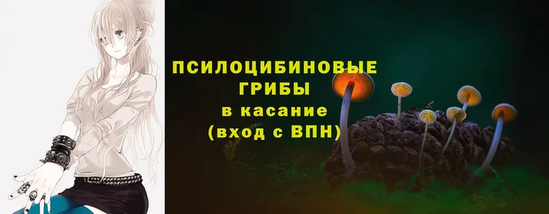 Псилоцибиновые грибы ЛСД  где продают наркотики  Люберцы 